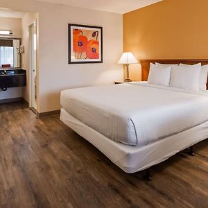 King Room Pet-Friendly or Non-Smoking